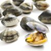 Vongole - 